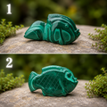 Poisson Malachite￼