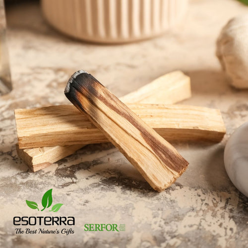 Bois de Palo Santo naturel disponible sur la boutique de Mamie Lucie boutique de Mamie Lucie, encens, palo santo, sauge blanche, bâtons d’encens, encens naturel, purification énergétique, purification de la maison, nettoyage énergétique, lithothérapie, bien-être, méditation, relaxation, sérénité, harmonie, spiritualité, énergie positive, protection énergétique, développement personnel, cadeau bien-être, Saint-Louis, Bâle, Strasbourg, Colmar, Mulhouse, Dietwiller, Obersaasheim