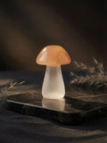sélénite, pierre de sélénite, sélénite naturelle, lithothérapie, pierre naturelle, cristal, purification énergétique, nettoyage énergétique, rechargement des pierres, méditation, chakra couronne, apaisement, harmonie, énergie positive, bien-être, minéral naturel, cristal blanc, développement spirituel Mulhouse, Saint-Louis, Strasbourg, Colmar, Obernai, Sainte-Marie-aux-Mines Bâle Dietwiller Habsheim 