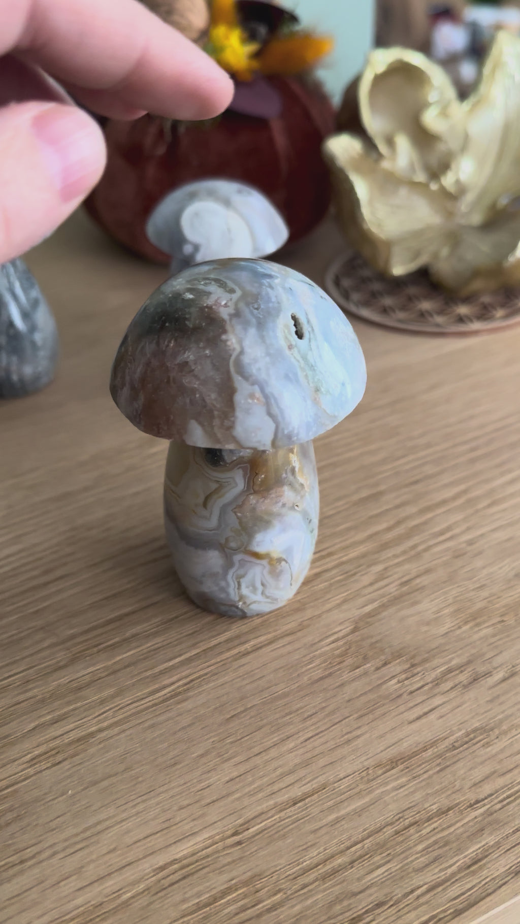Champignon Agate de Madagascar