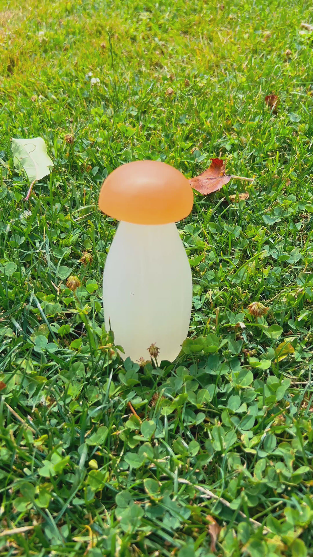 Champignons sélénite 15cm