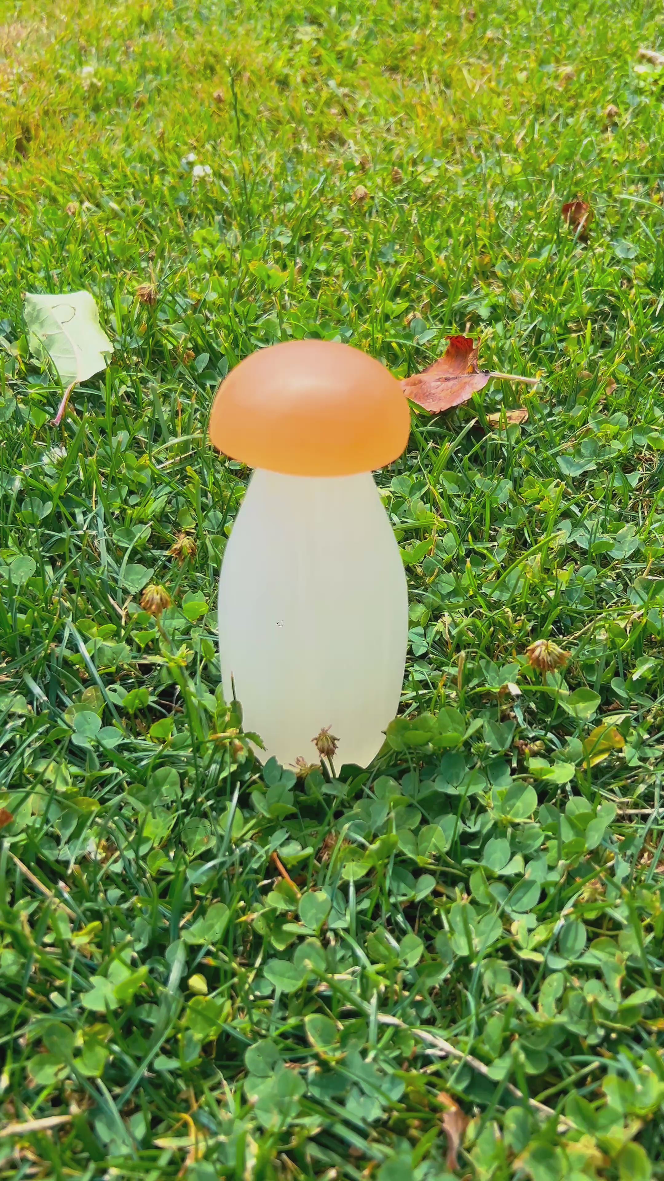 Champignons sélénite 15cm