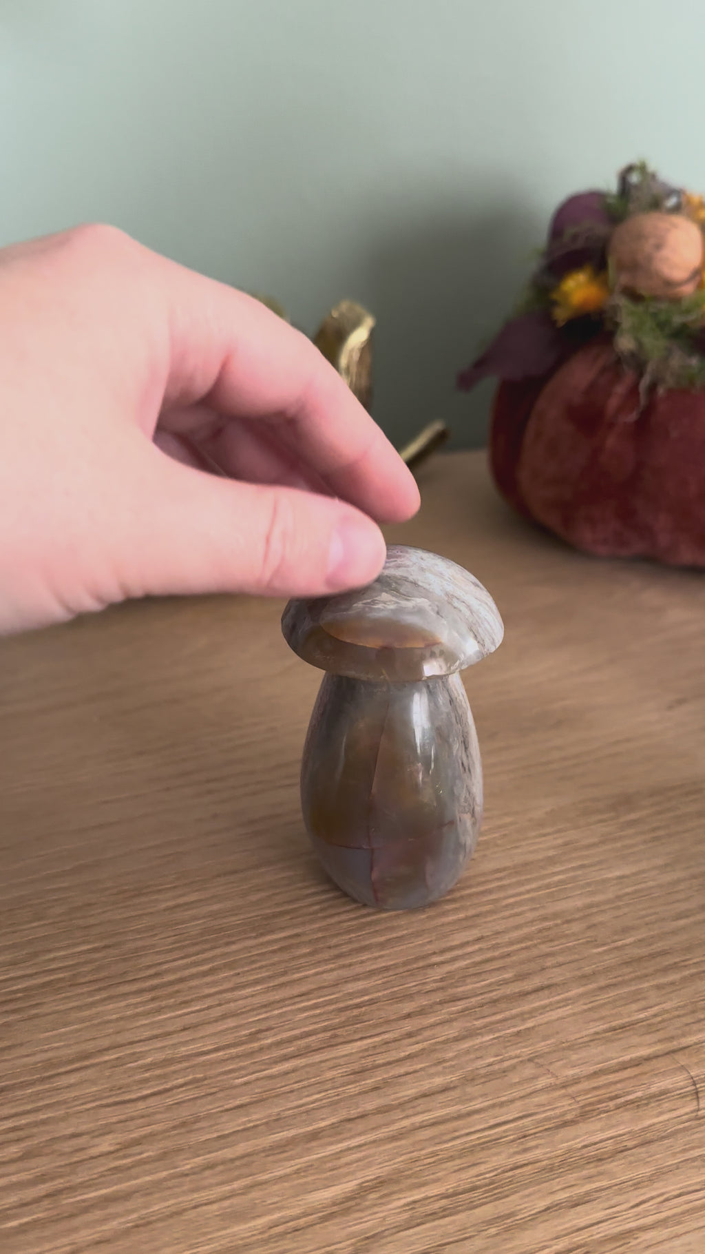 Champignon Agate de Madagascar