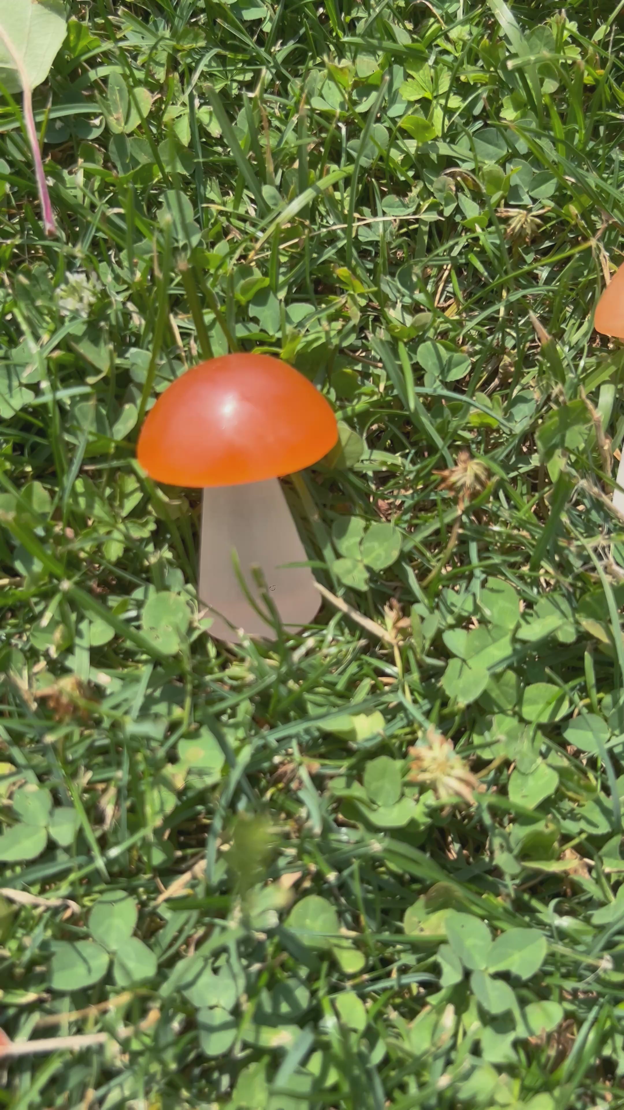Champignon en sélénite 5cm