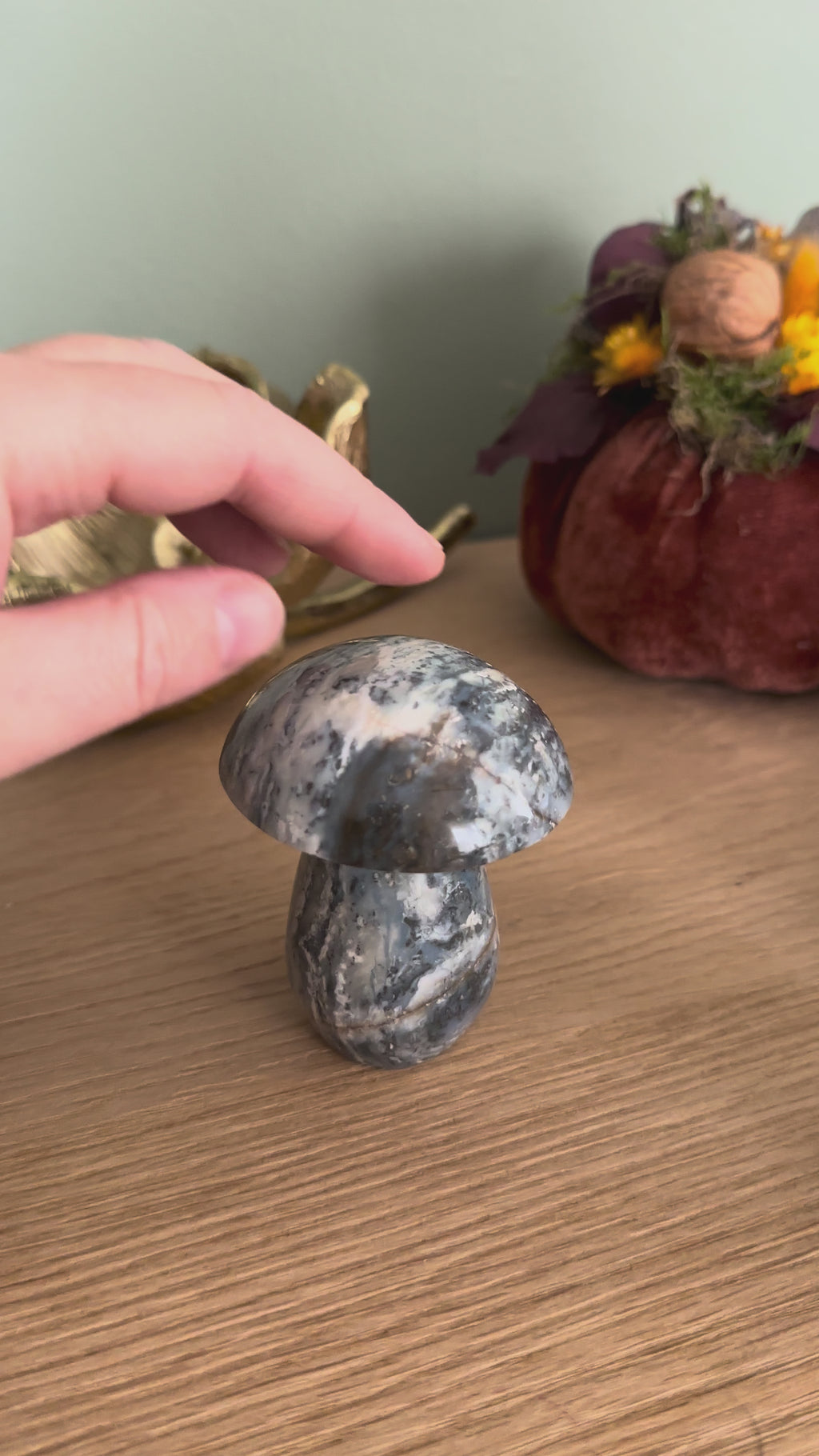 Champignon Agate de Madagascar