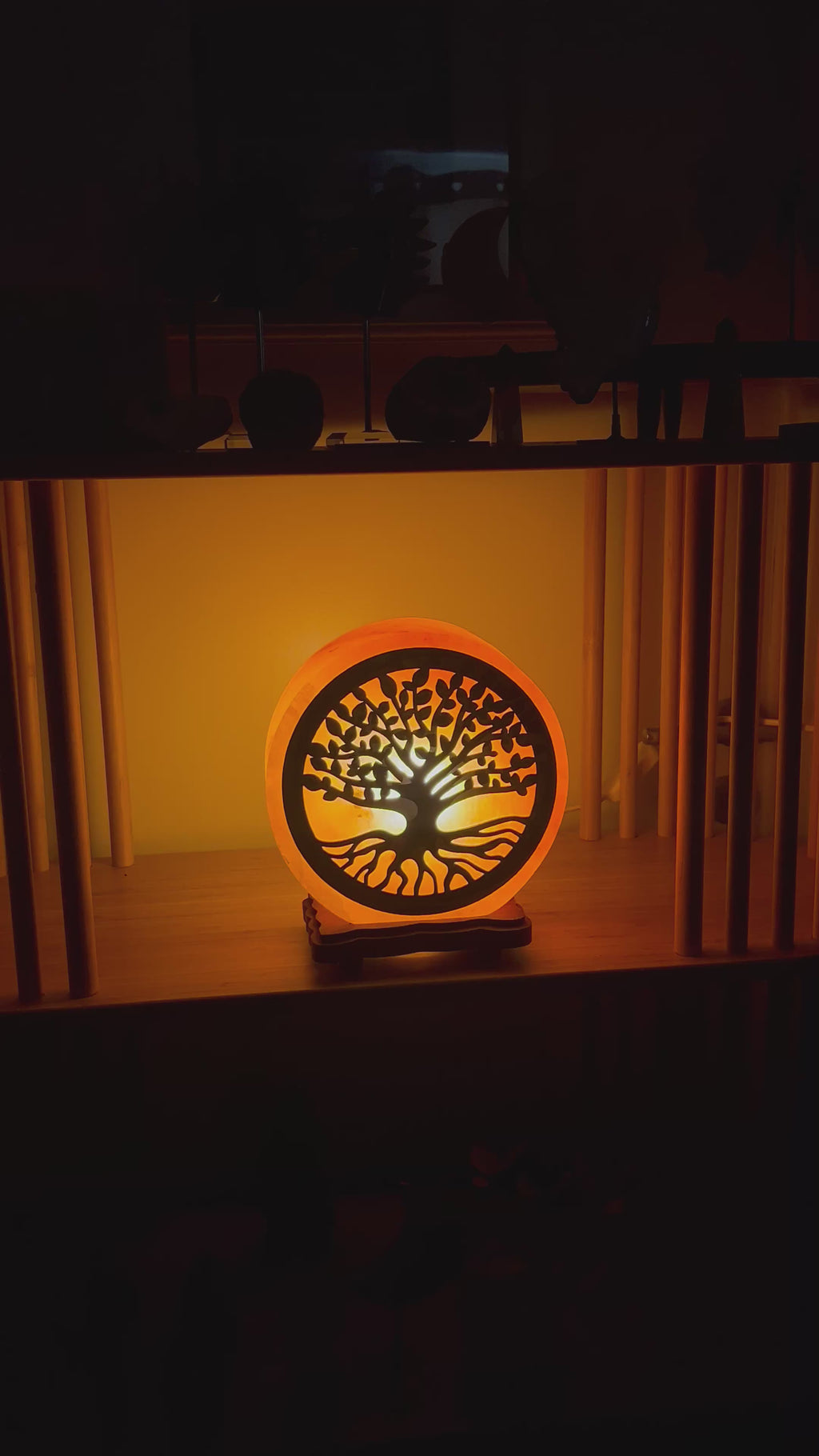 Lampe en Sel d’Himalaya arbre de vie
