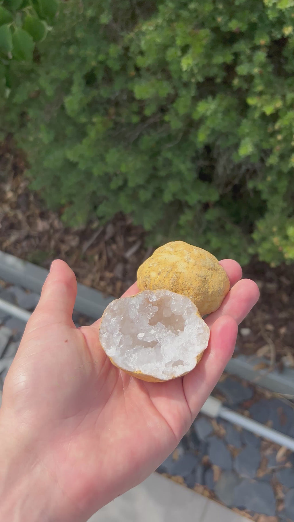 Géode Crystal de roche