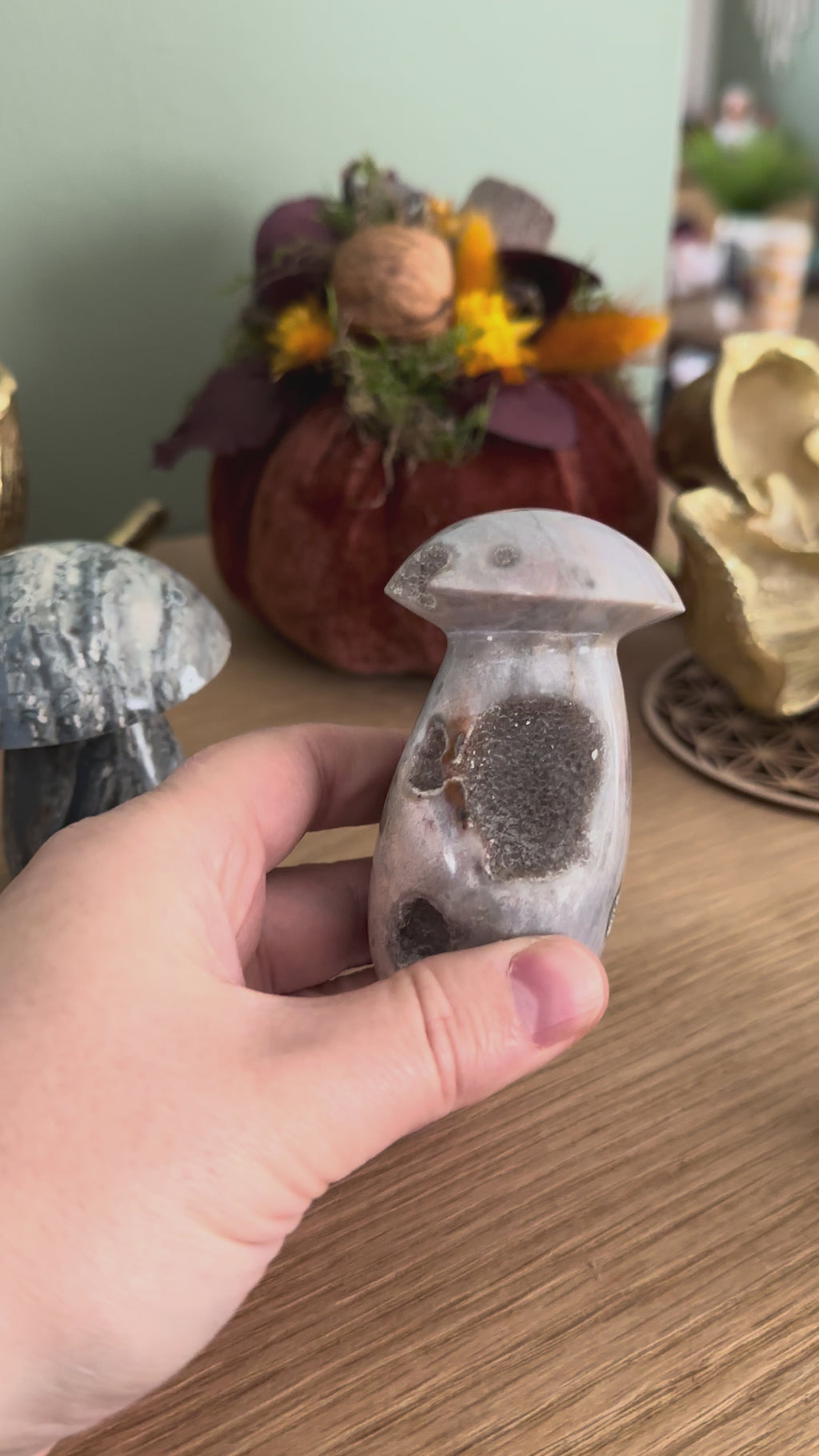 Champignon Agate de Madagascar